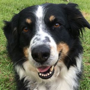 Meet your Posher, Jackie